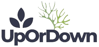 UpOrDown
